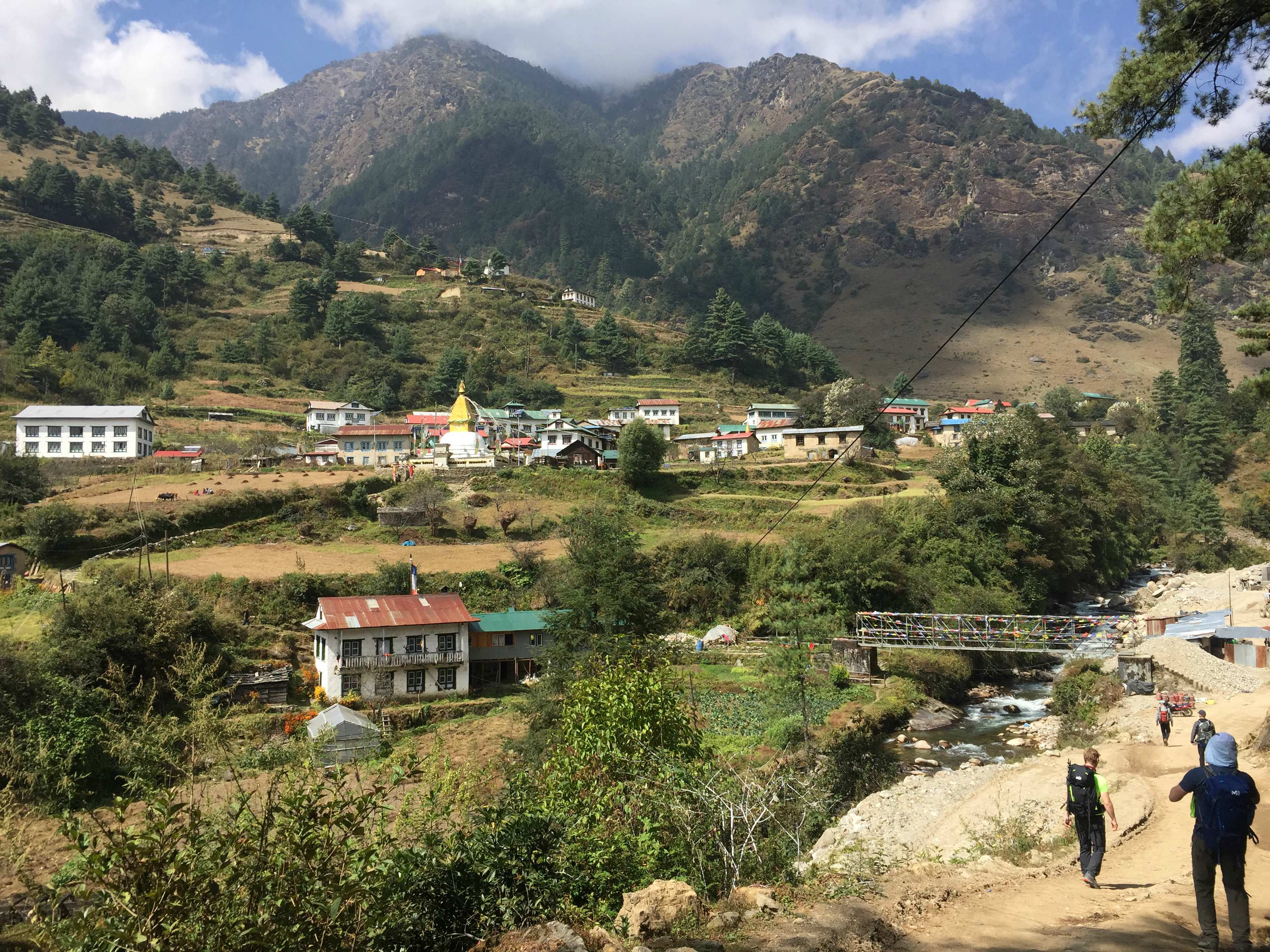 Has Nepal resumed international flights?